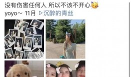 赵露思说未来能拍戏就拍 吃瓜有理报料无罪 不打烊,拍戏至上，吃瓜有理，坚守原则不打烊