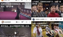 小瓜陆的视频 体育圈是干净的吗,光鲜背后，真的干净吗？——小瓜陆视频深度解析