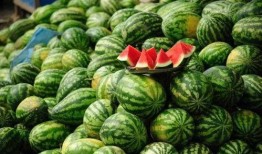 小瓜陆的视频 体育圈是干净的吗,光鲜背后，真的干净吗？——小瓜陆视频深度解析